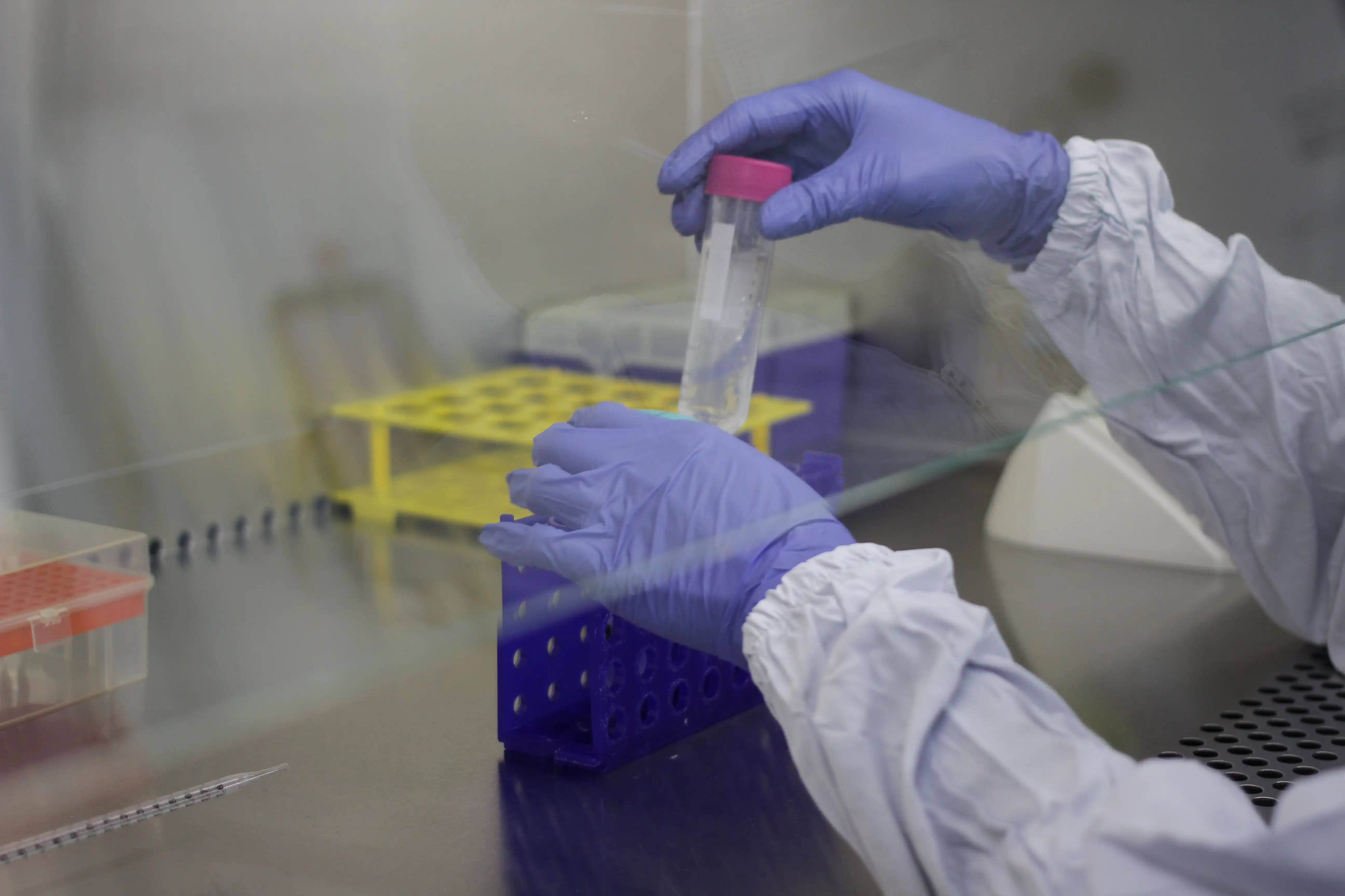 Profesional de laboratorio trabajando con muestras
