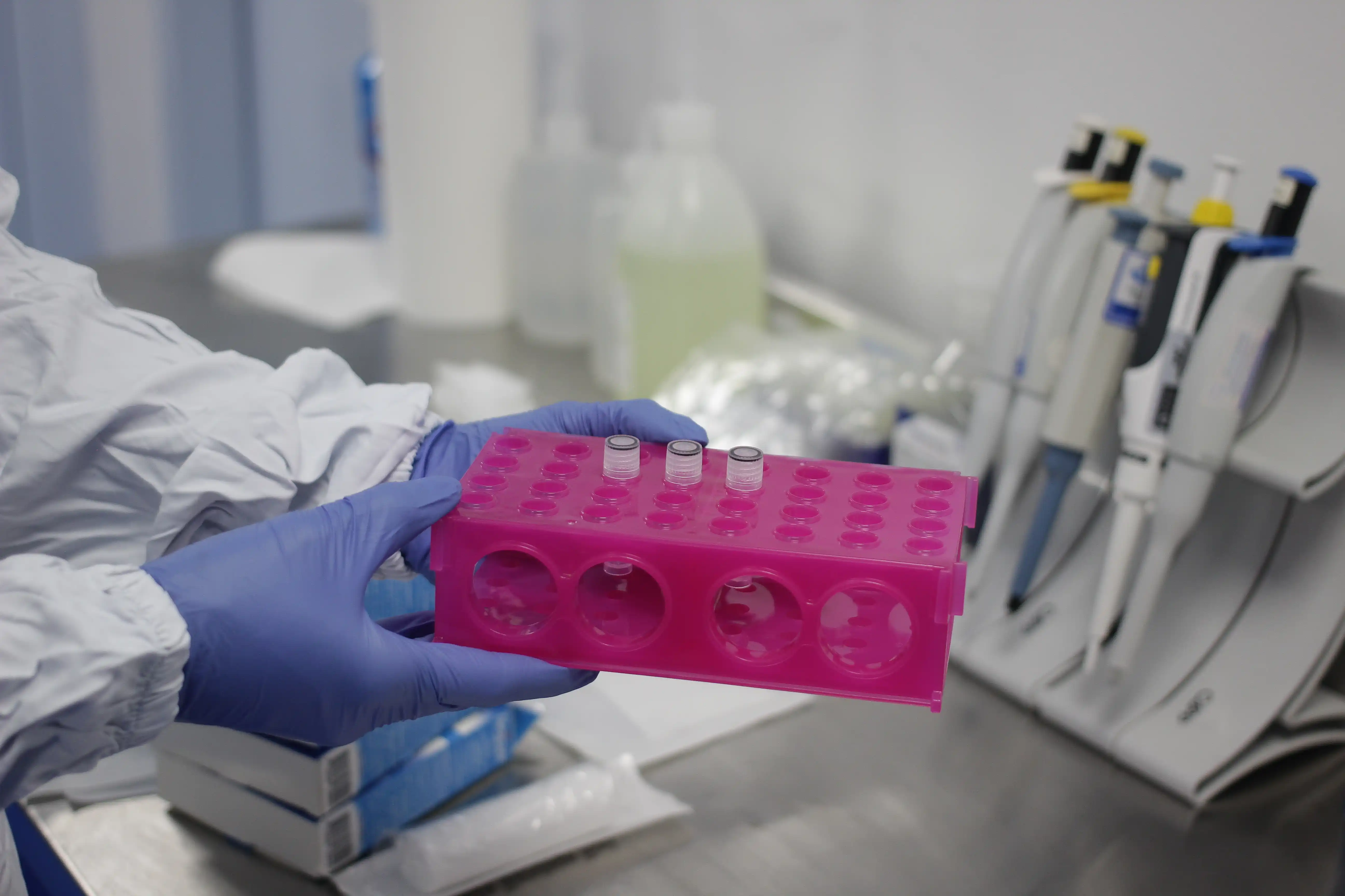Muestras organizadas para análisis de laboratorio